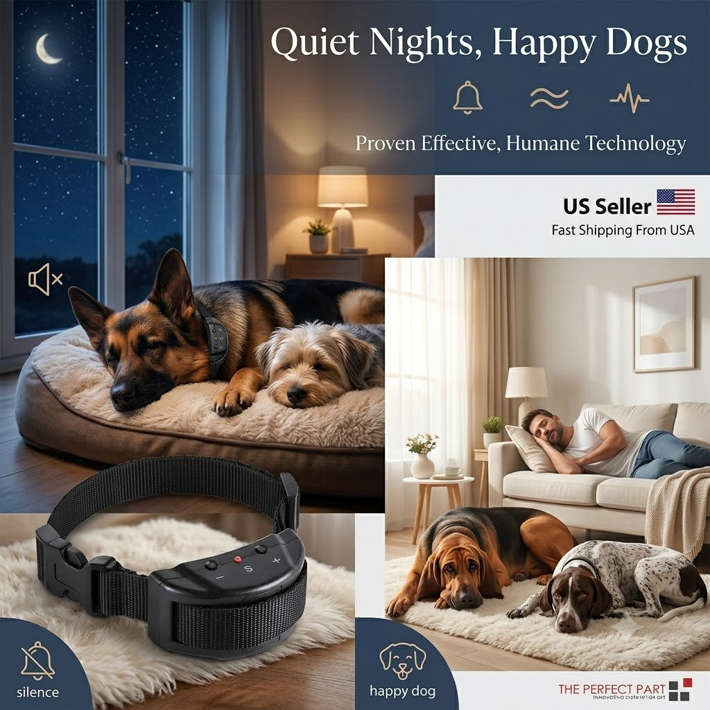 Quiet Nights, Happy Dogs: The Best Anti-Bark Solutions for Peaceful Living