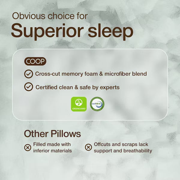 Coop Home Goods Medium The Adjustable Cloud Pillow - 24hrsmart