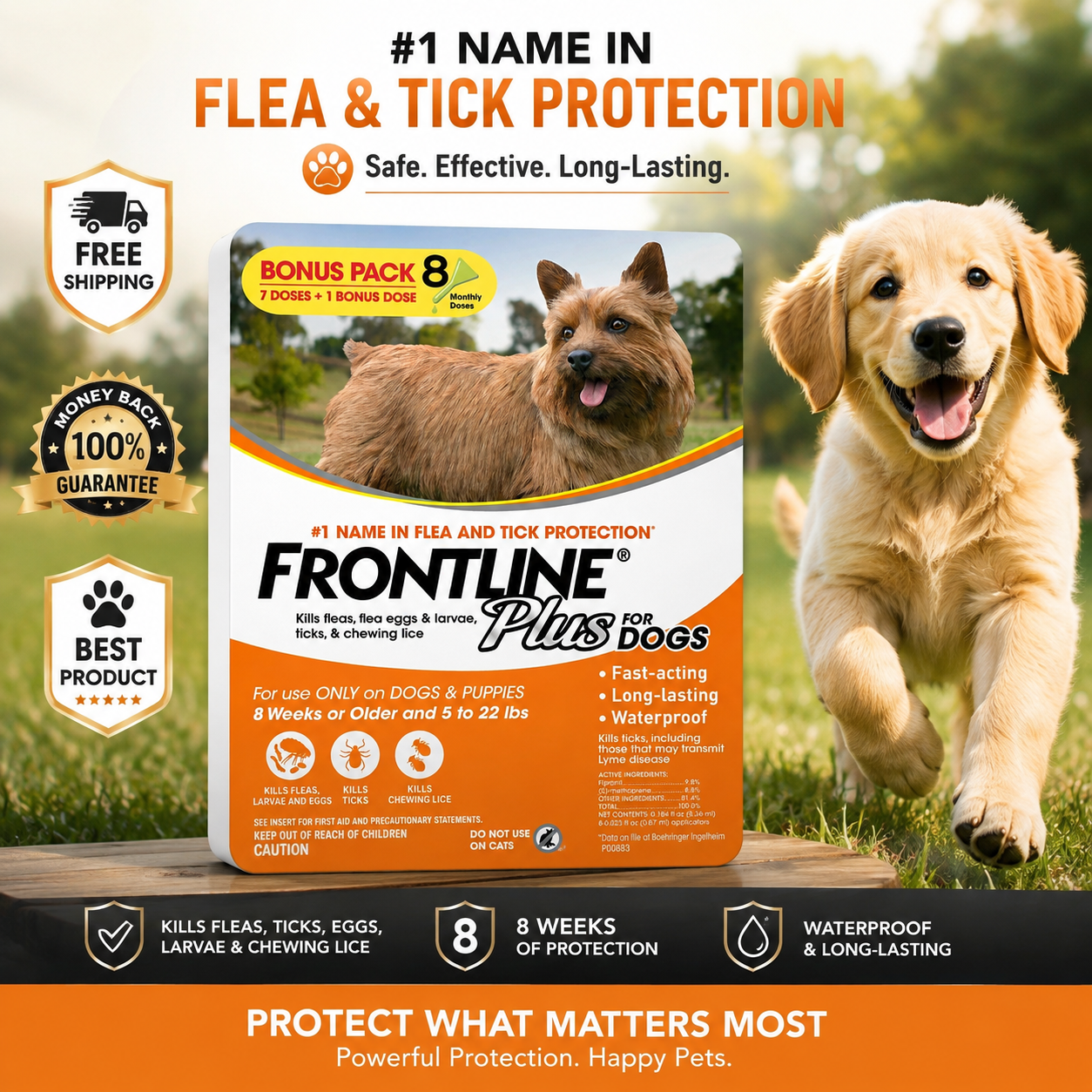 Frontline Plus for Dogs Flea and Tick Small Dog Treatment 5-22 lb, 8 Doses - 24hrsmart