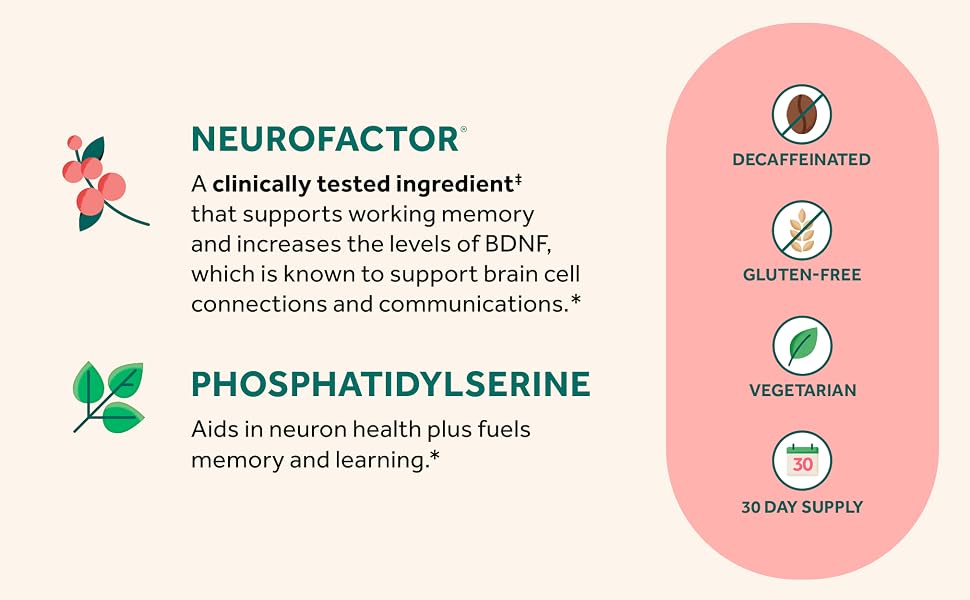 Neuriva Original Brain Supplement Naturally Sourced Ingredients (50 CAPSULES) - 24hrsmart