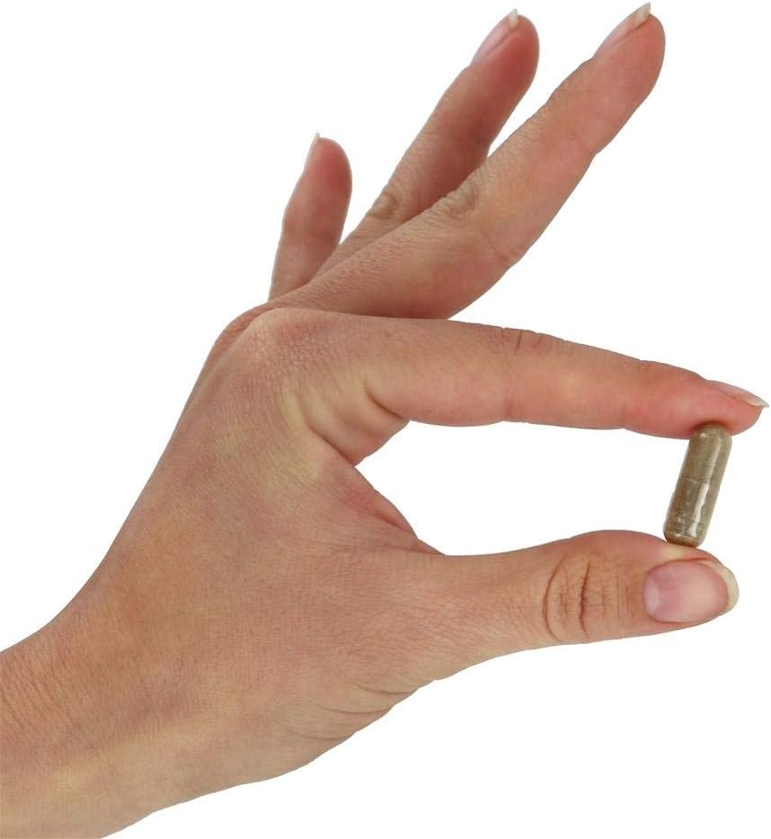 NOW Foods Gotu Kola, 450 mg, 100 Veg Capsules 24Hr Smart