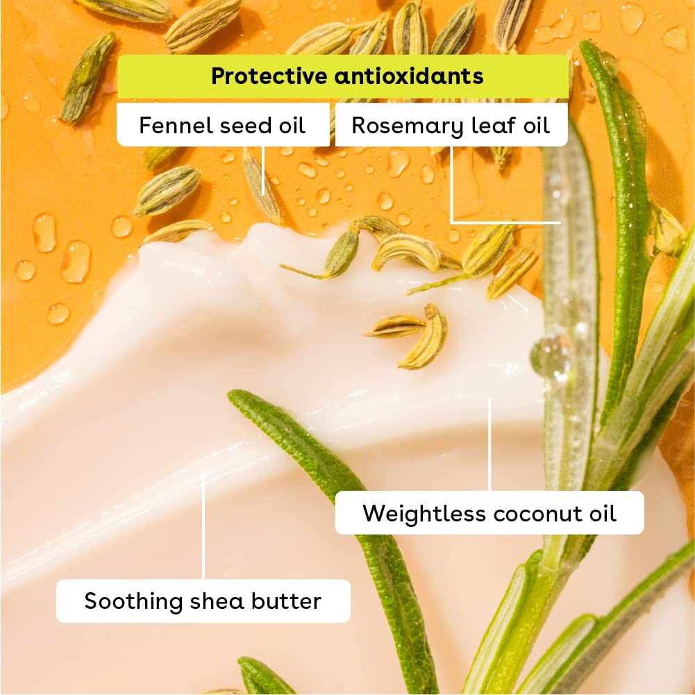 eos Juicy Vibes Lip Balm Variety Pack- Watermelon Frosé, Mango Melonade & Coconut Milk, All-Day Moisture Lip Care Products, 0.25 oz, 3-Pack - 24hrsmart