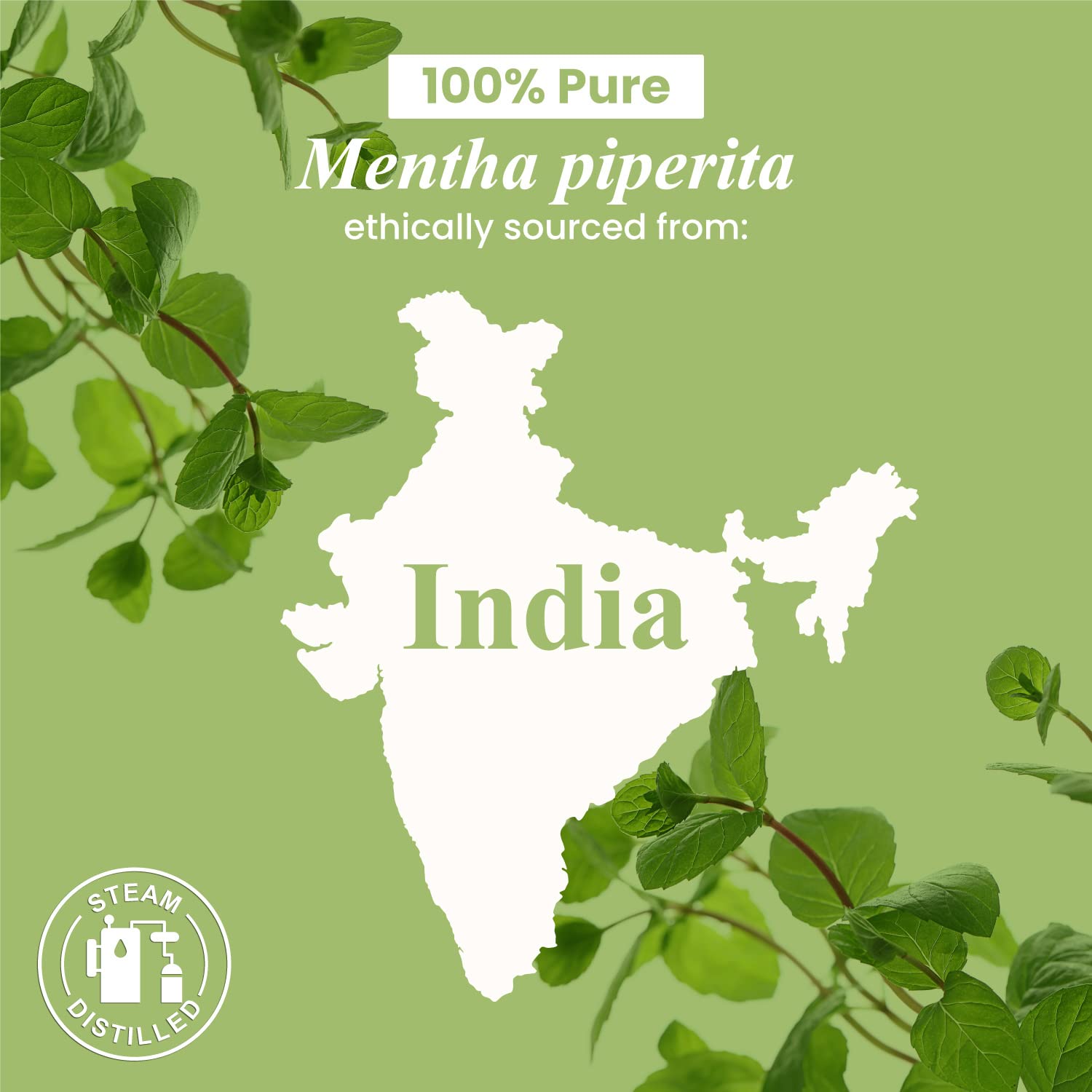 Handcraft Blends Peppermint Essential Oil - Huge 4 Fl Oz - 100% Pure and Natural - Premium Grade Essential Oil for Diffuser and Aromatherapy 24Hr Smart