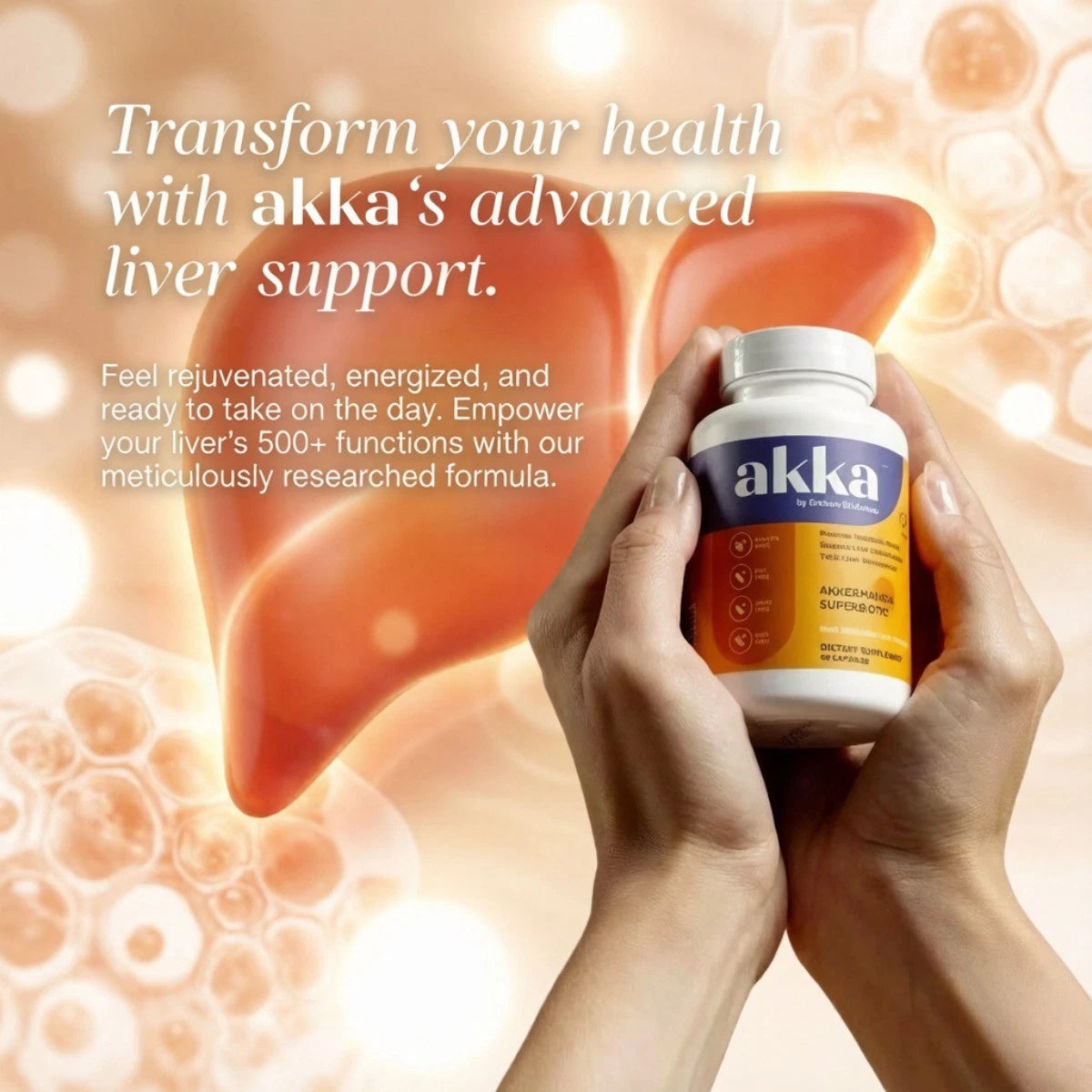 Akka Akkermansia Superbiotic Milk Thistle Liver Detox Metabolism Gut Support ( 60 count ) - 24hrsmart
