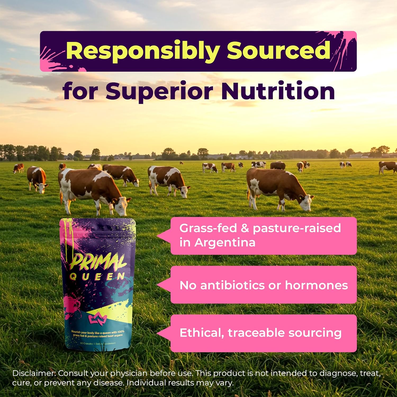 Beef Organ Supplement for Women | Primal Queen 60 Capsules 1 Month Supply - 24hrsmart