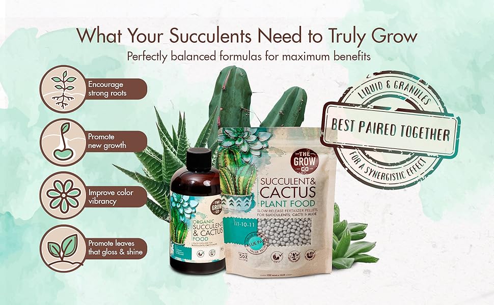 Succulents & Cactus Plant Food - Gentle Long Lasting Formula, Slow Release Fertilizer (Liquid Alternative) for All Potted Succulent, Cacti & Aloe Vera Plants (5 oz) 24hrsmart