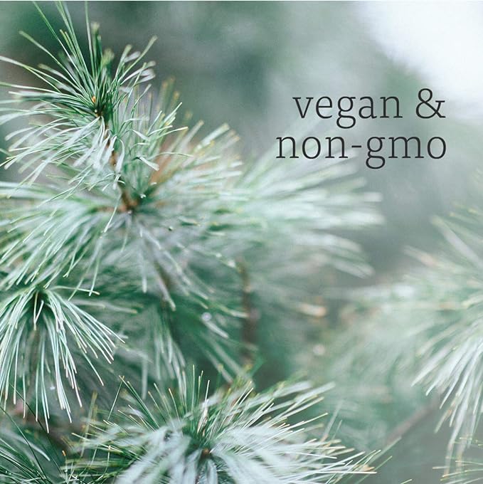 NOW Foods Pine Needle Oil, 1 fl. oz. 24Hr Smart