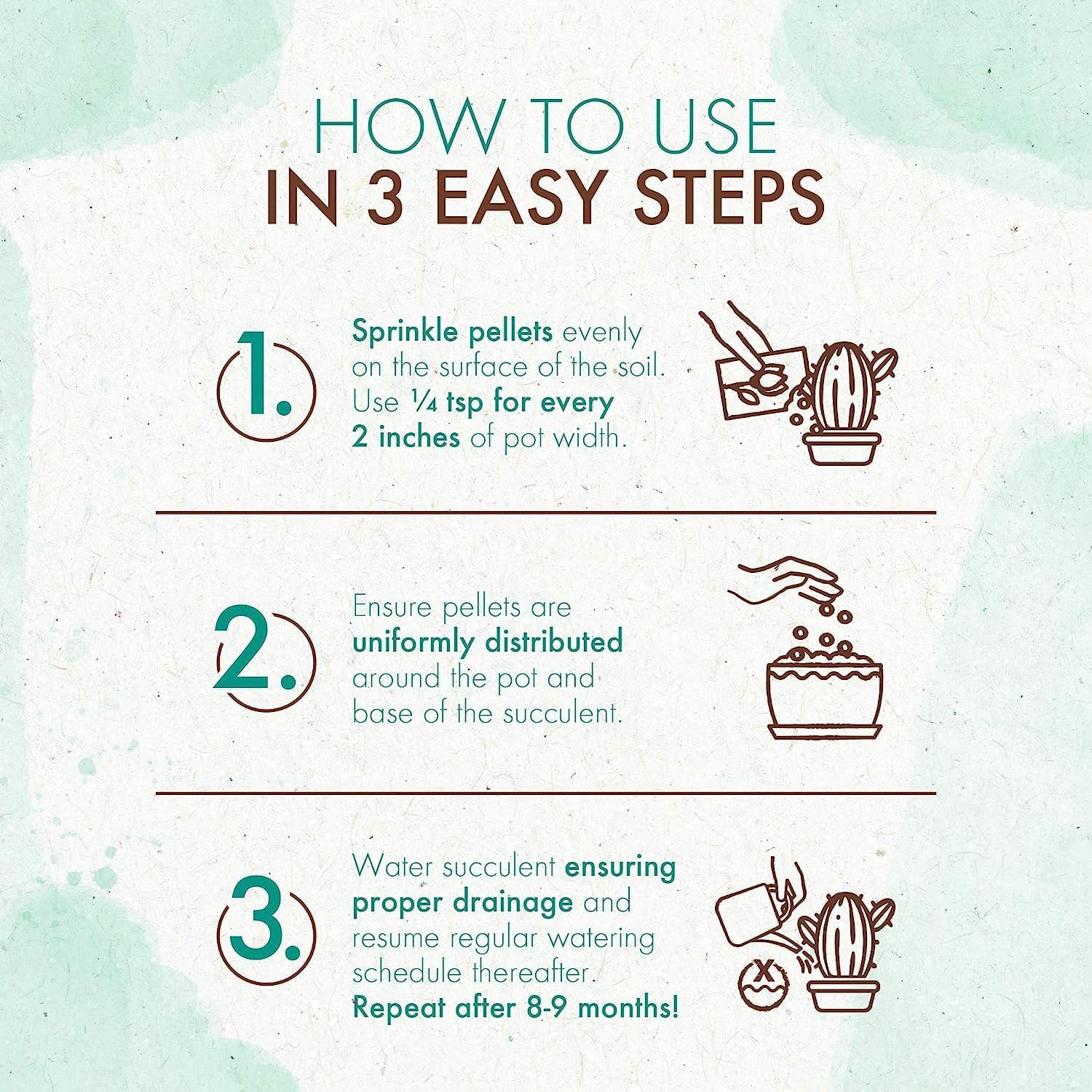 Succulents & Cactus Plant Food - Gentle Long Lasting Formula, Slow Release Fertilizer (Liquid Alternative) for All Potted Succulent, Cacti & Aloe Vera Plants (5 oz) 24hrsmart