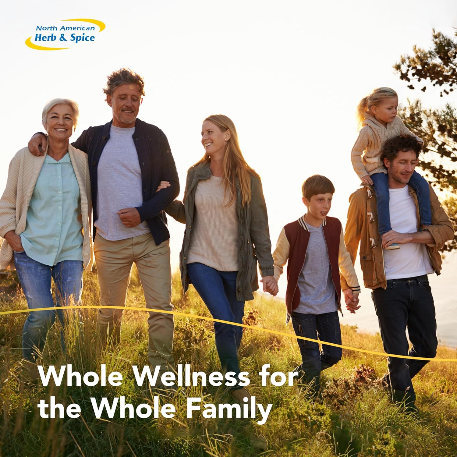 NORTH AMERICAN HERB & SPICE Oreganol - 1 fl. oz. - Unprocessed, Wild, Organic Oregano Oil - Mediterranean Source P73 - Non-GMO - 432 Servings 24hrsmart