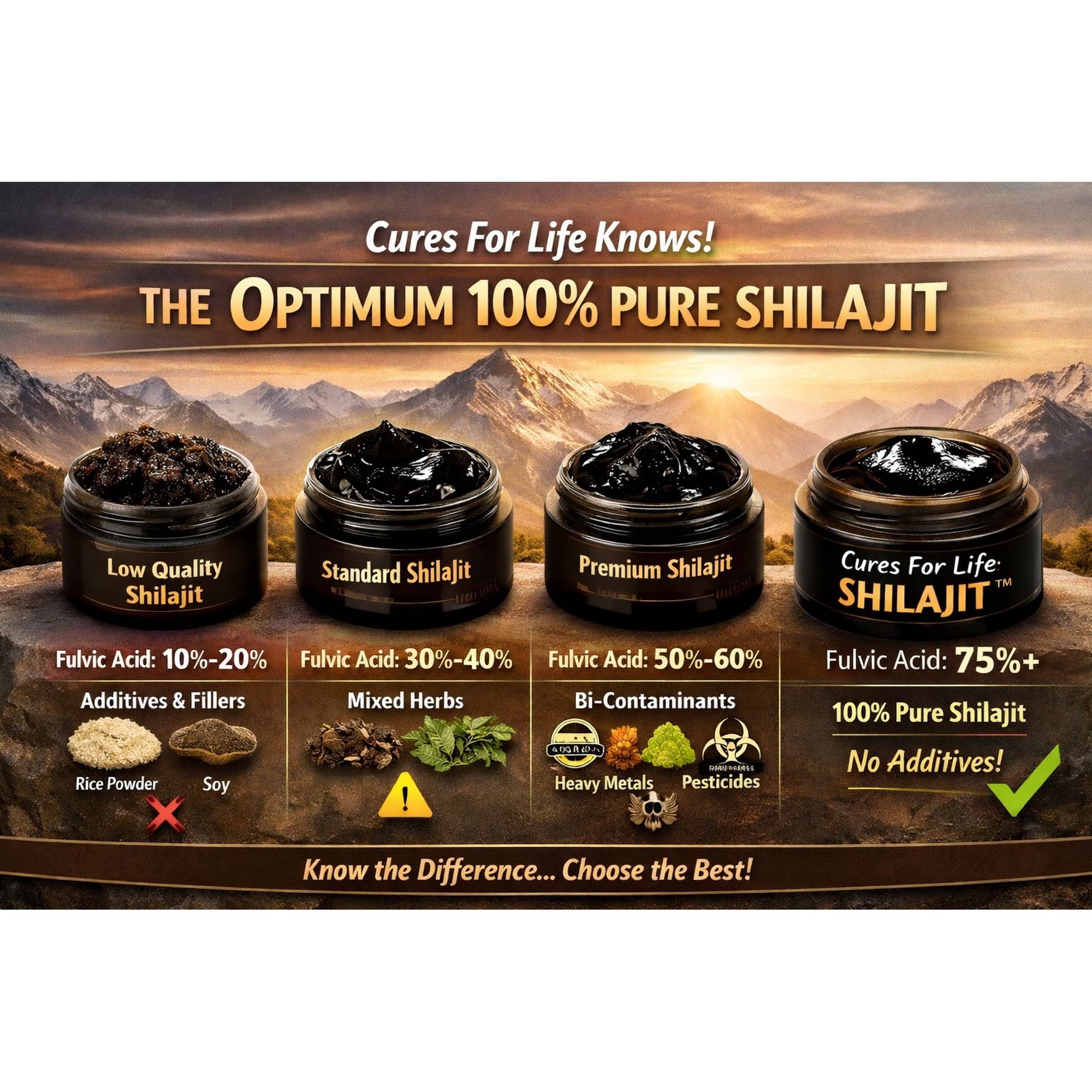 Pure Shilajit Resin Supplement with Fulvic Acid and Himalayan Trace Minerals