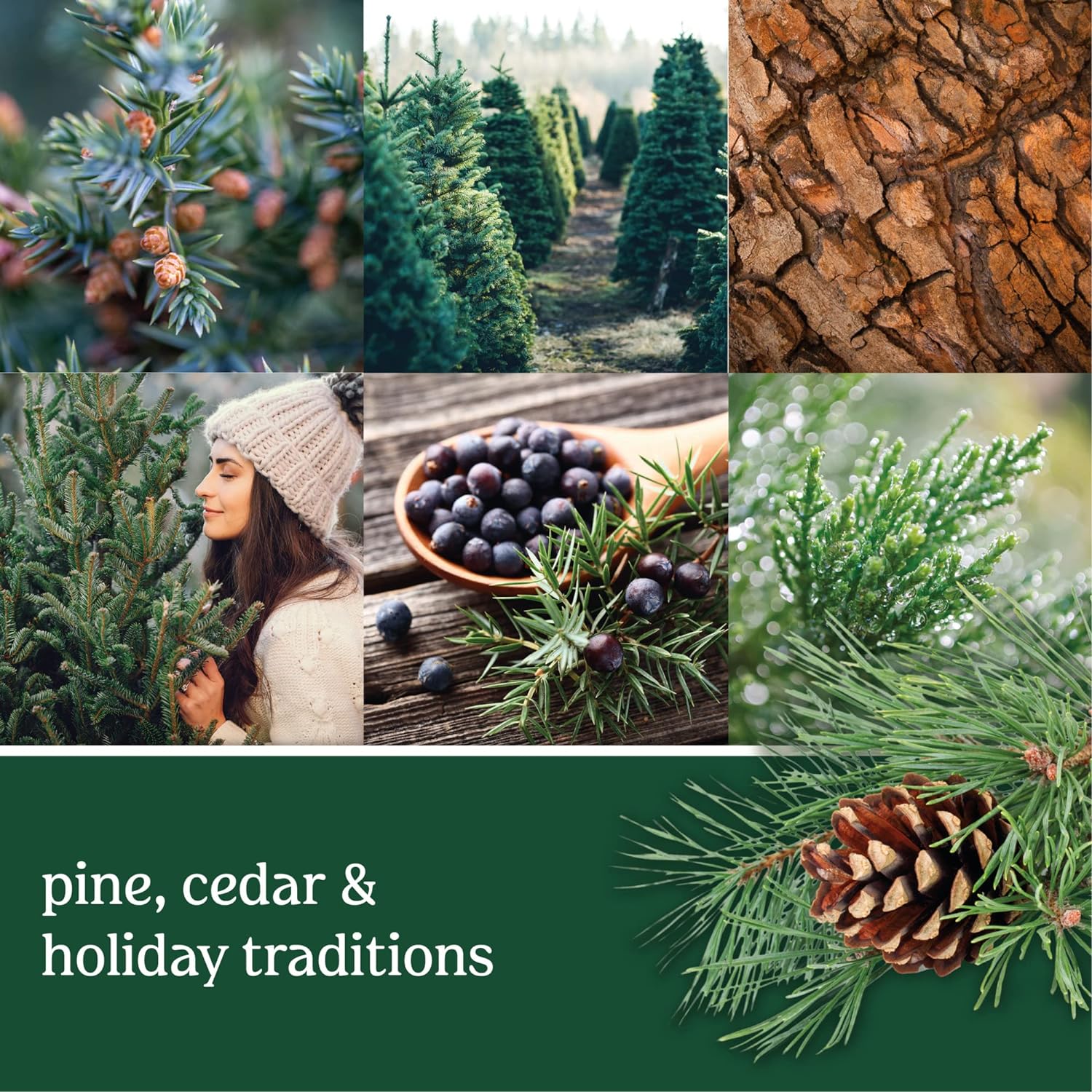 Yankee Candle Balsam & Cedar Scented, Classic 22oz Large Jar Single Wick Candle, Over 110 Hours of Burn Time - 24hrsmart