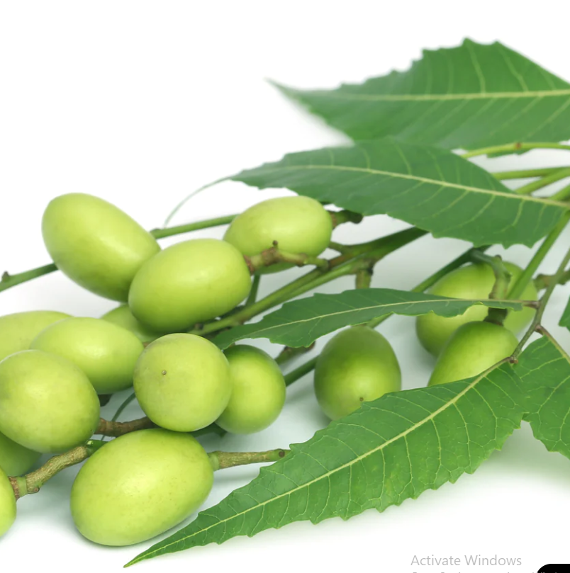 L'ANZA Neem Plant Silk Healing Serum, Effortlessly Nourishes, Repairs, and Boosts Hair Shine and Strength for a Perfect Silky Look, For All Hair Types - 24hrsmart