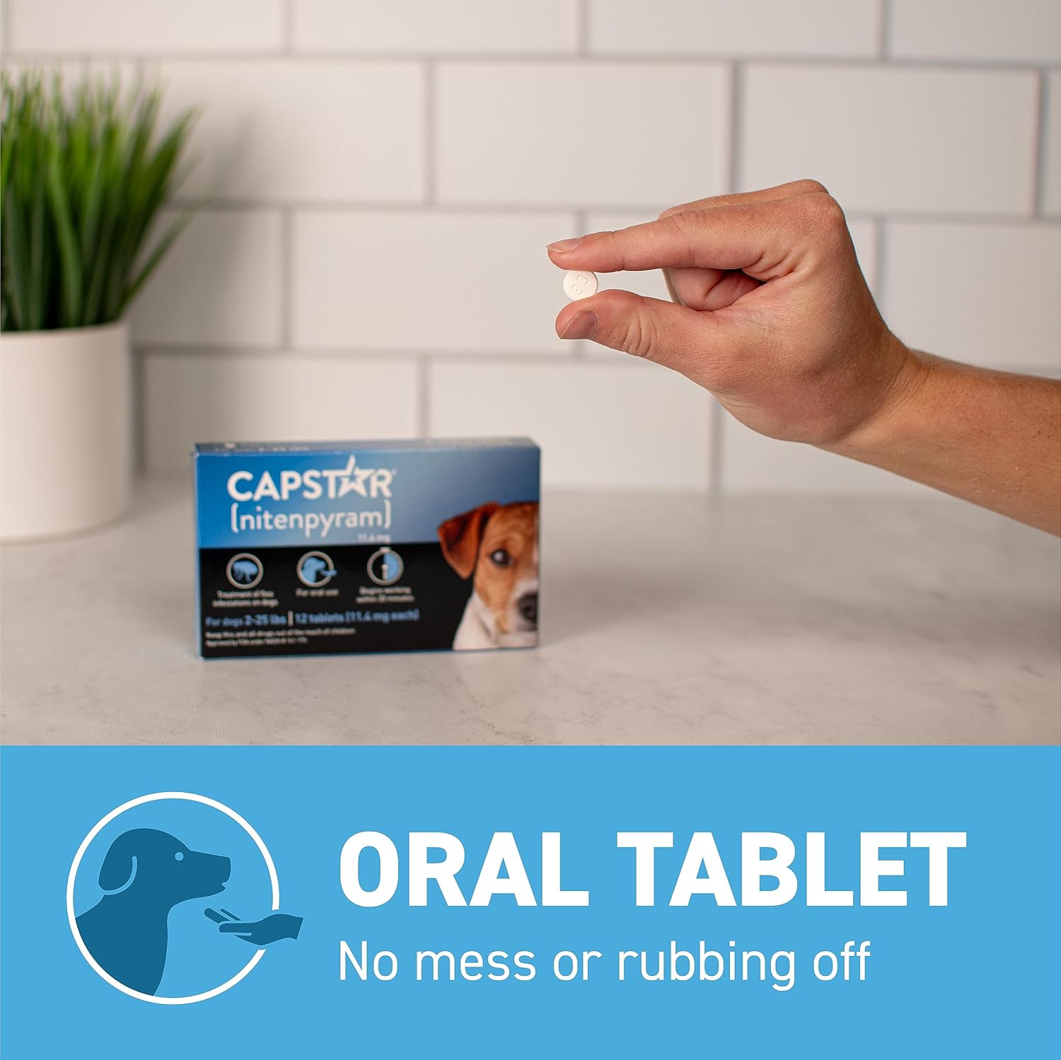 CAPSTAR Fast - Acting Oral Treatment for Small Dogs 2 - 25 lbs 6 Tabs 3370/3103 - 24hrsmart