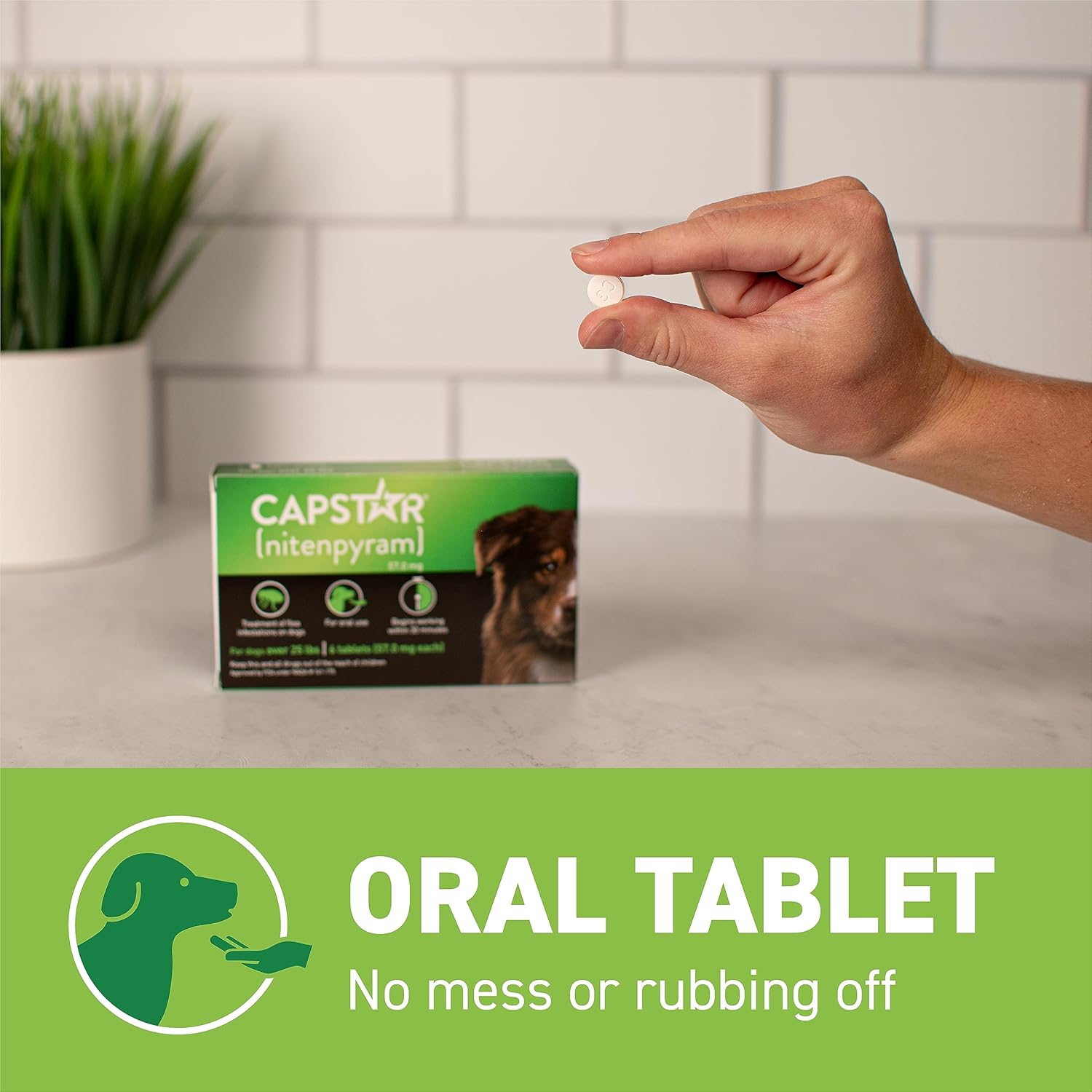 CAPSTAR Fast - Acting Oral Treatment, Large Dogs over 25 lbs 6 Tabs - 24hrsmart