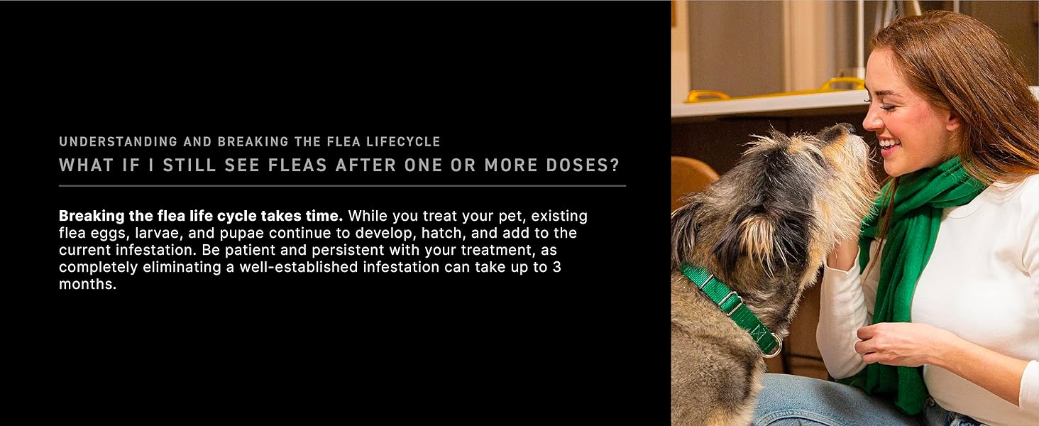 CAPSTAR Fast - Acting Oral Treatment, Large Dogs over 25 lbs 6 Tabs - 24hrsmart