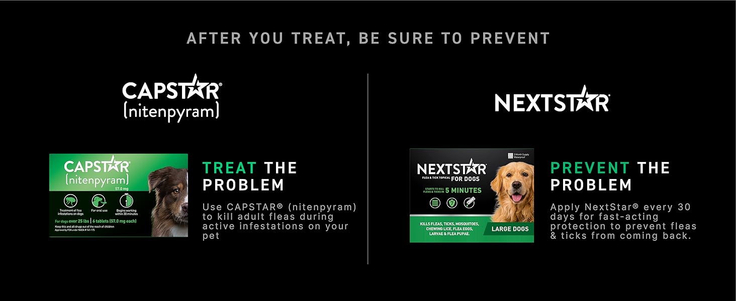 CAPSTAR Fast - Acting Oral Treatment, Large Dogs over 25 lbs 6 Tabs - 24hrsmart