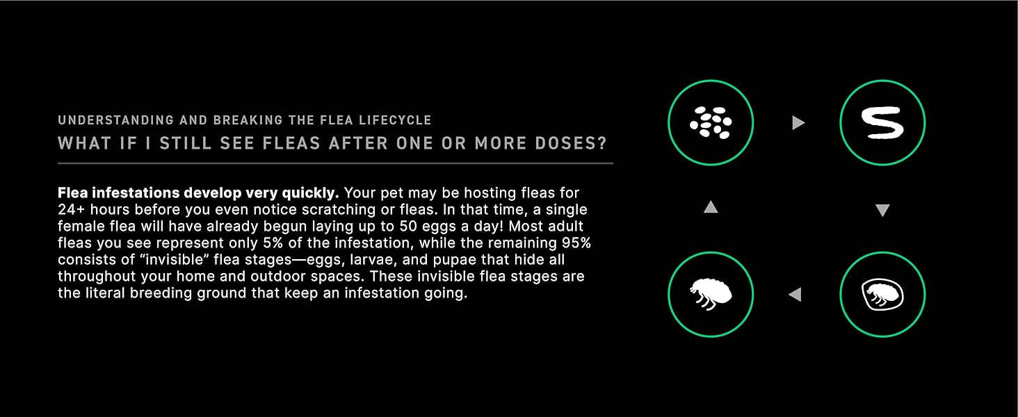 CAPSTAR Fast - Acting Oral Treatment, Large Dogs over 25 lbs 6 Tabs - 24hrsmart