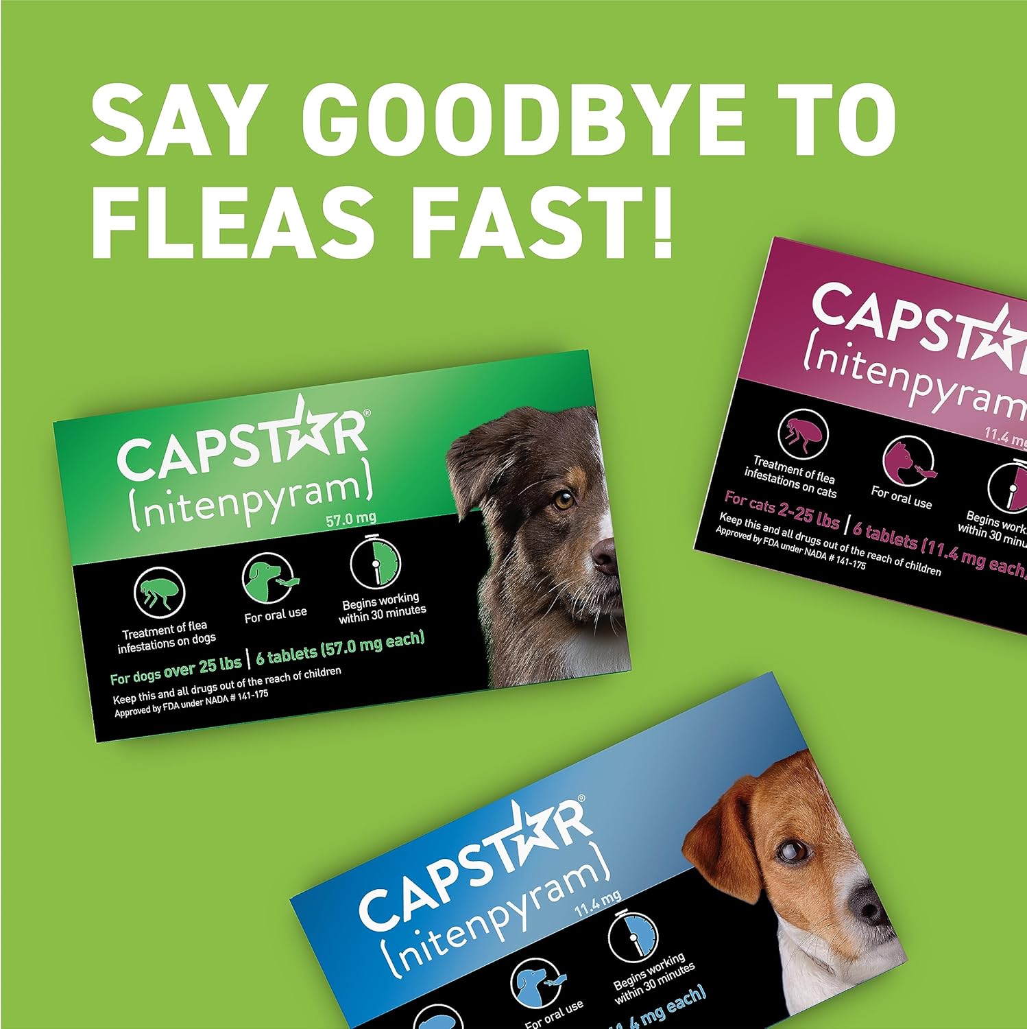 CAPSTAR Fast - Acting Oral Treatment, Large Dogs over 25 lbs 6 Tabs - 24hrsmart
