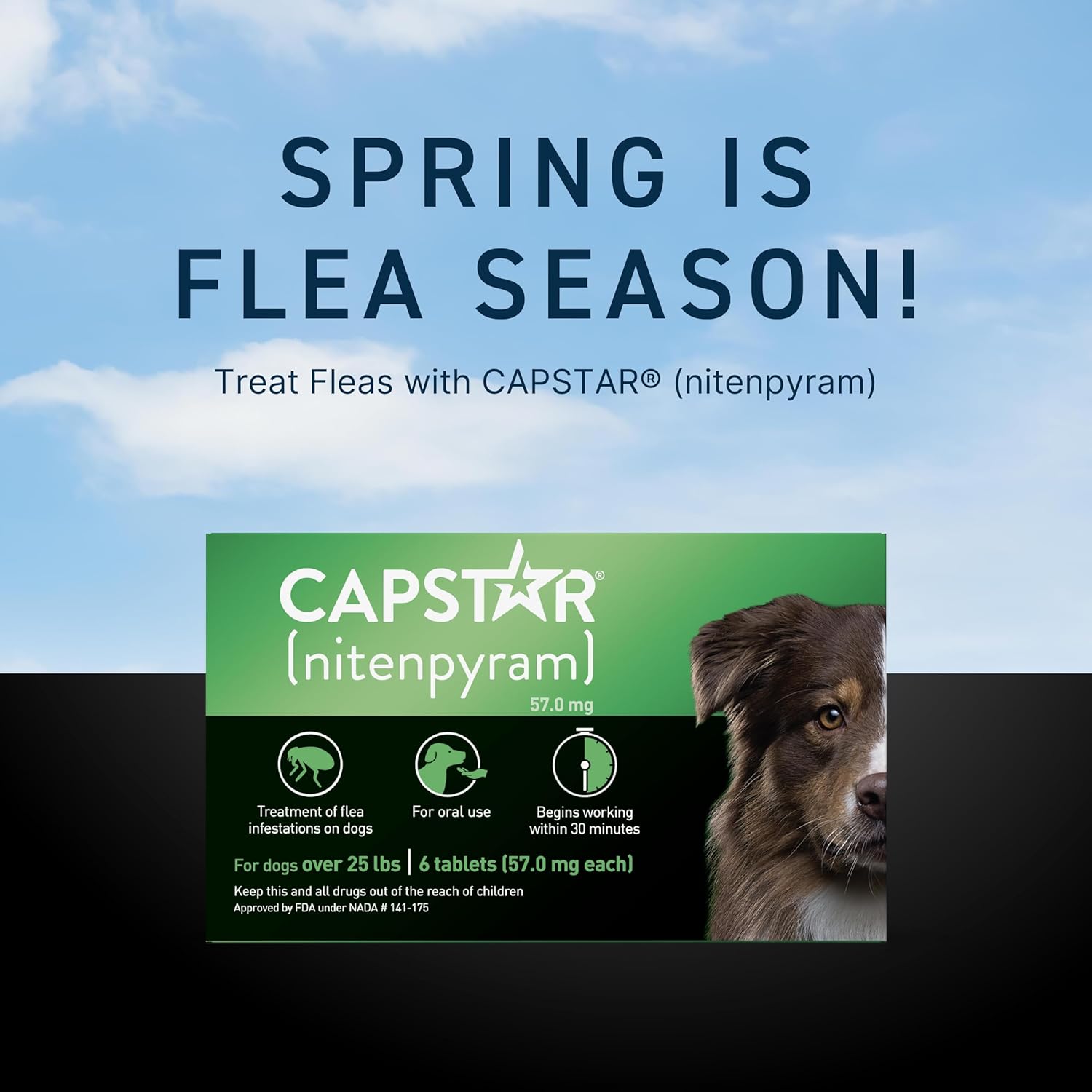 CAPSTAR Fast - Acting Oral Treatment, Large Dogs over 25 lbs 6 Tabs - 24hrsmart