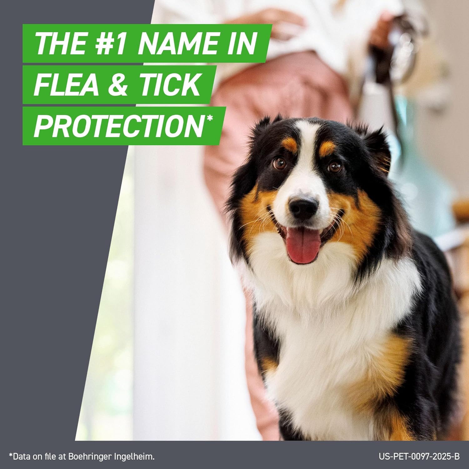 Frontline Plus for Dogs Flea and Tick Small Dog Treatment 5 - 22 lb, 8 Doses - 24hrsmart