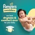 Pampers Swaddlers Baby Diapers Size 1, 198 Count (Select for More Options) - 24hrsmart