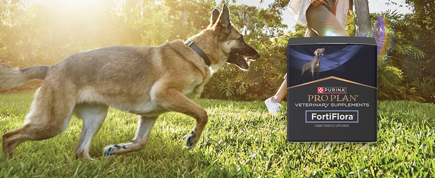 Purina Pro Plan FortiFlora Probiotic Supplements for Dogs(90 Tabs) - 24hrsmart
