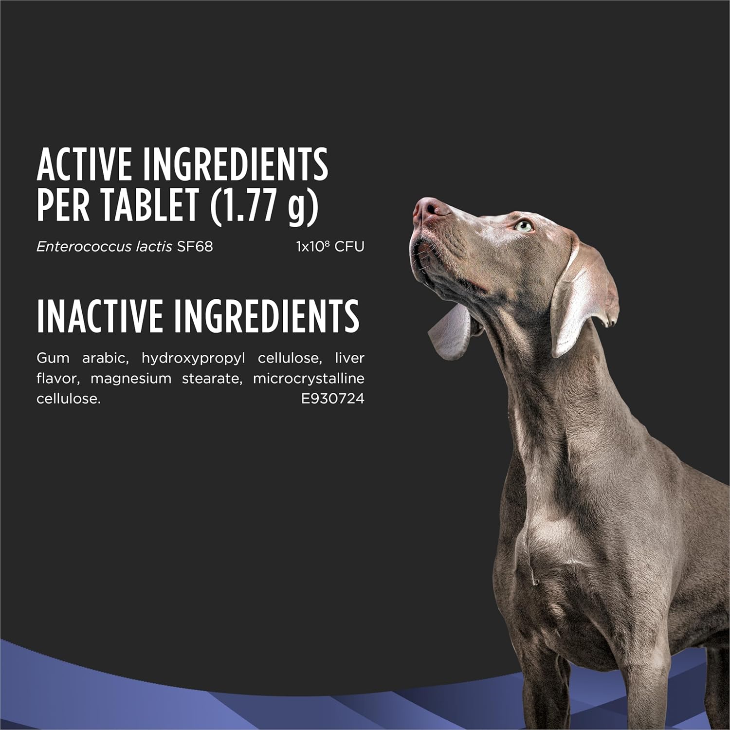 Purina Pro Plan FortiFlora Probiotic Supplements for Dogs(90 Tabs) - 24hrsmart