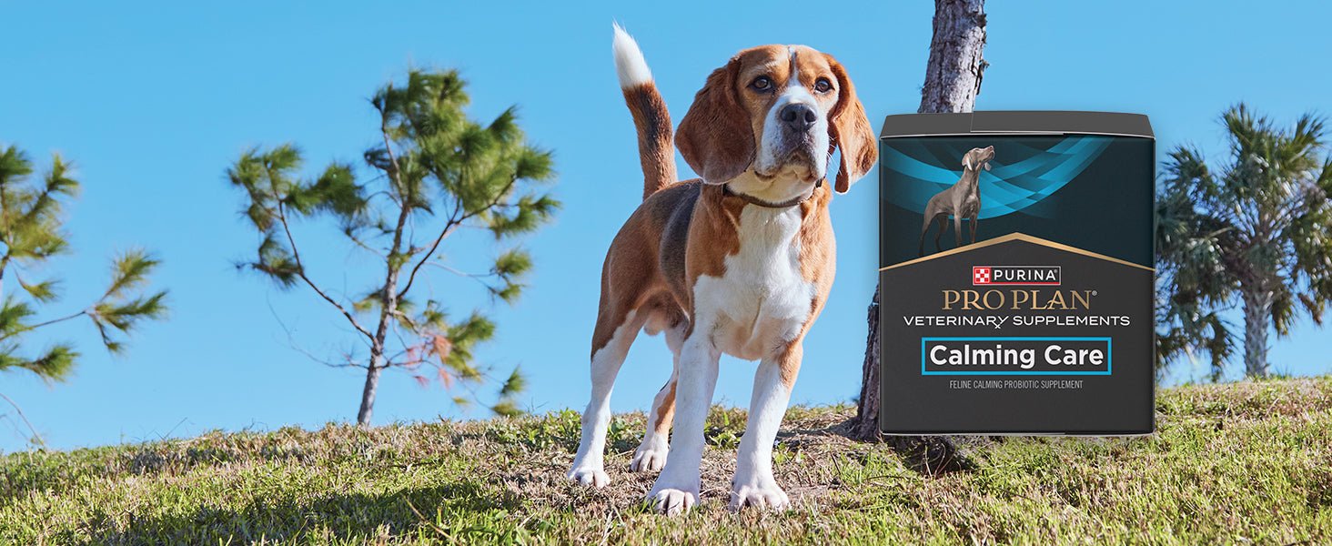 Purina Pro Plan FortiFlora Probiotic Supplements for Dogs(90 Tabs) - 24hrsmart