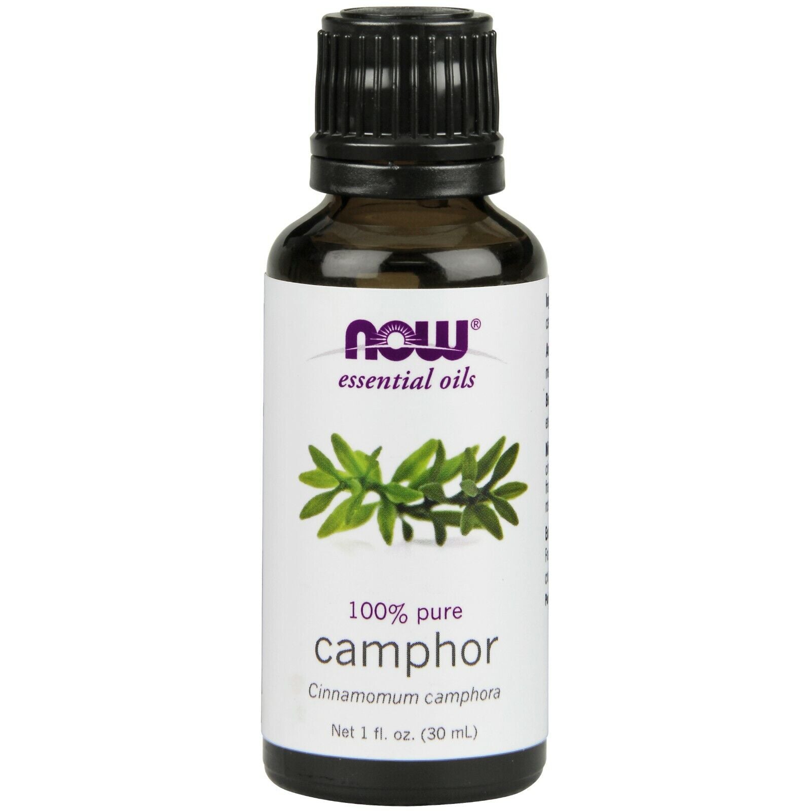 NOW Foods Camphor Oil, 1 fl. oz. 24Hr Smart