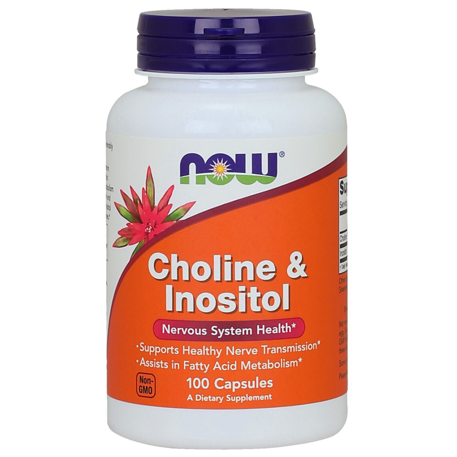 NOW Foods Choline & Inositol, 500 mg, 100 Capsules 24Hr Smart