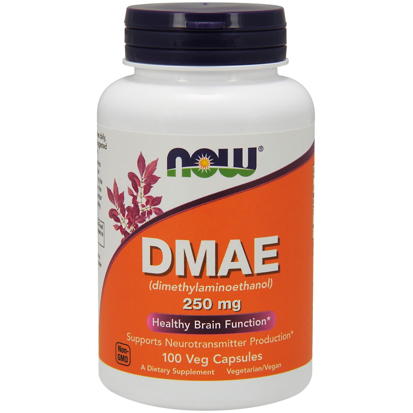 NOW Foods DMAE 250 mg, 100 Veg Capsules 24Hr Smart