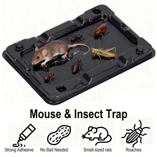 Sticky glue traps designed for mice and rats in indoor areas.