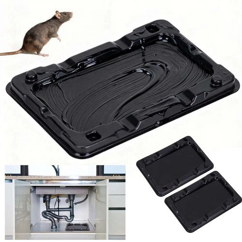 Ready-to-use large adhesive mouse traps for home and indoor pest management.