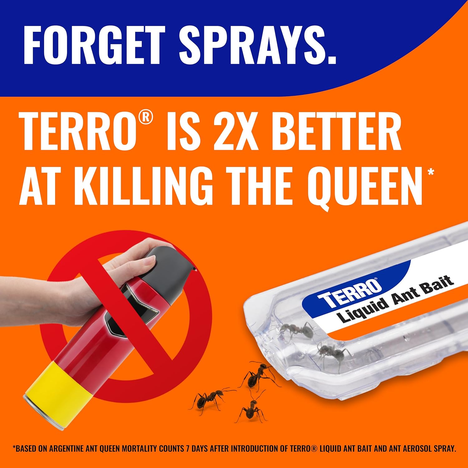 TERRO Ant Killer Bait Stations T300B - Liquid Bait to Eliminate Ants - Bait System - 12 Count Stations for Effective Indoor Ant Control - 24hrsmart