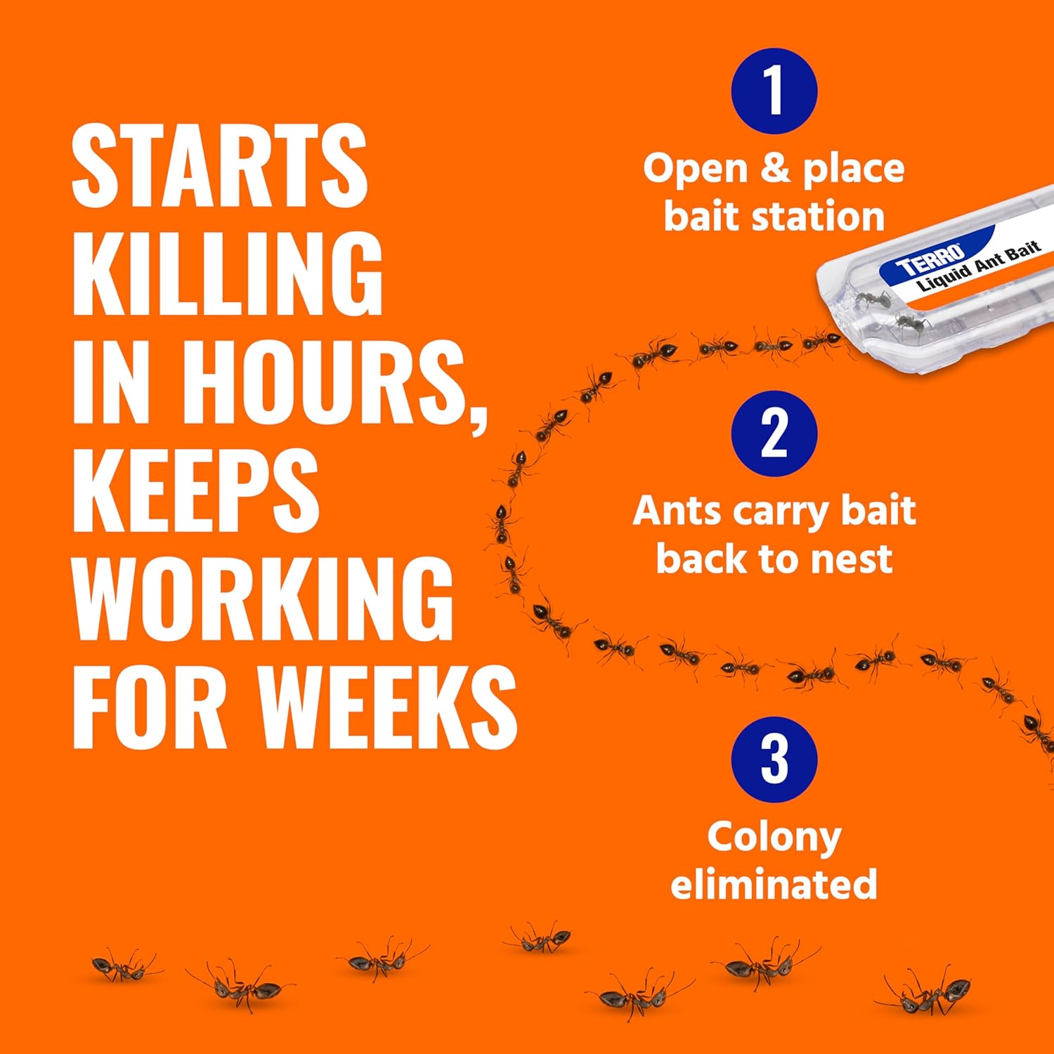 TERRO Ant Killer Bait Stations T300B - Liquid Bait to Eliminate Ants - Bait System - 12 Count Stations for Effective Indoor Ant Control - 24hrsmart