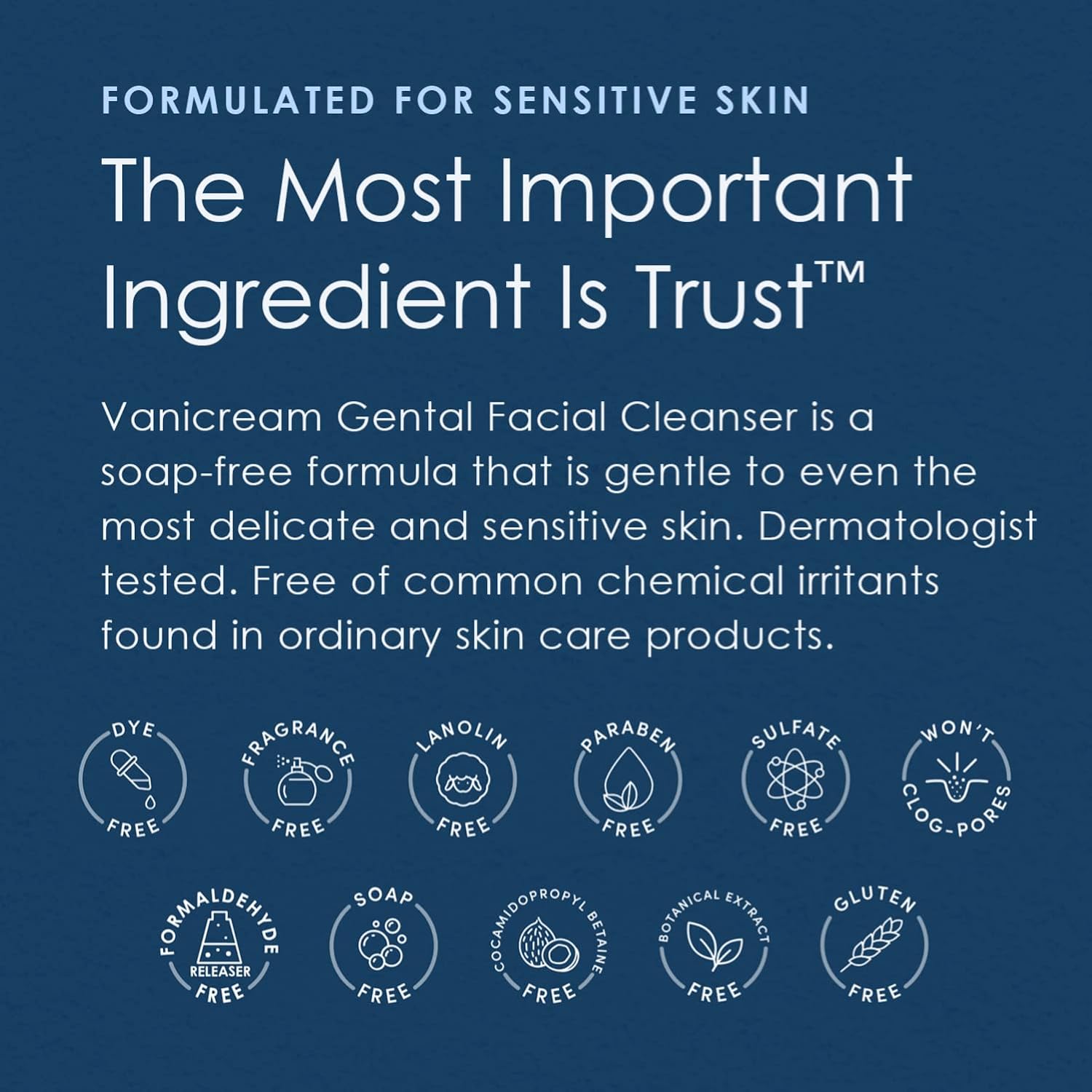 Vanicream Gentle Facial Cleanser with Pump Dispenser - 8 fl oz - Formulated Without Common Irritants for Those with Sensitive Skin - 24hrsmart